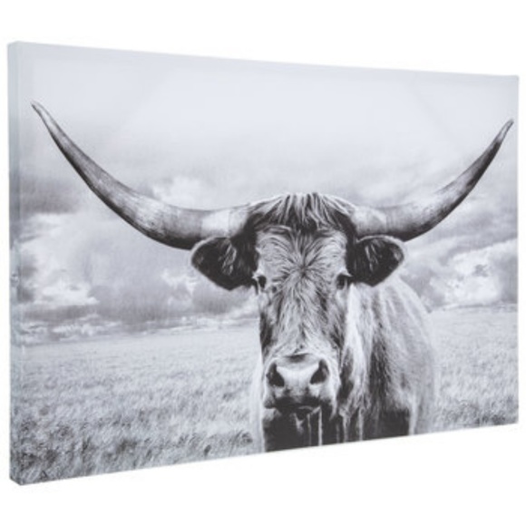 Hobby Lobby Wall Decor Longhorn Canvas Wall Decor Poshmark